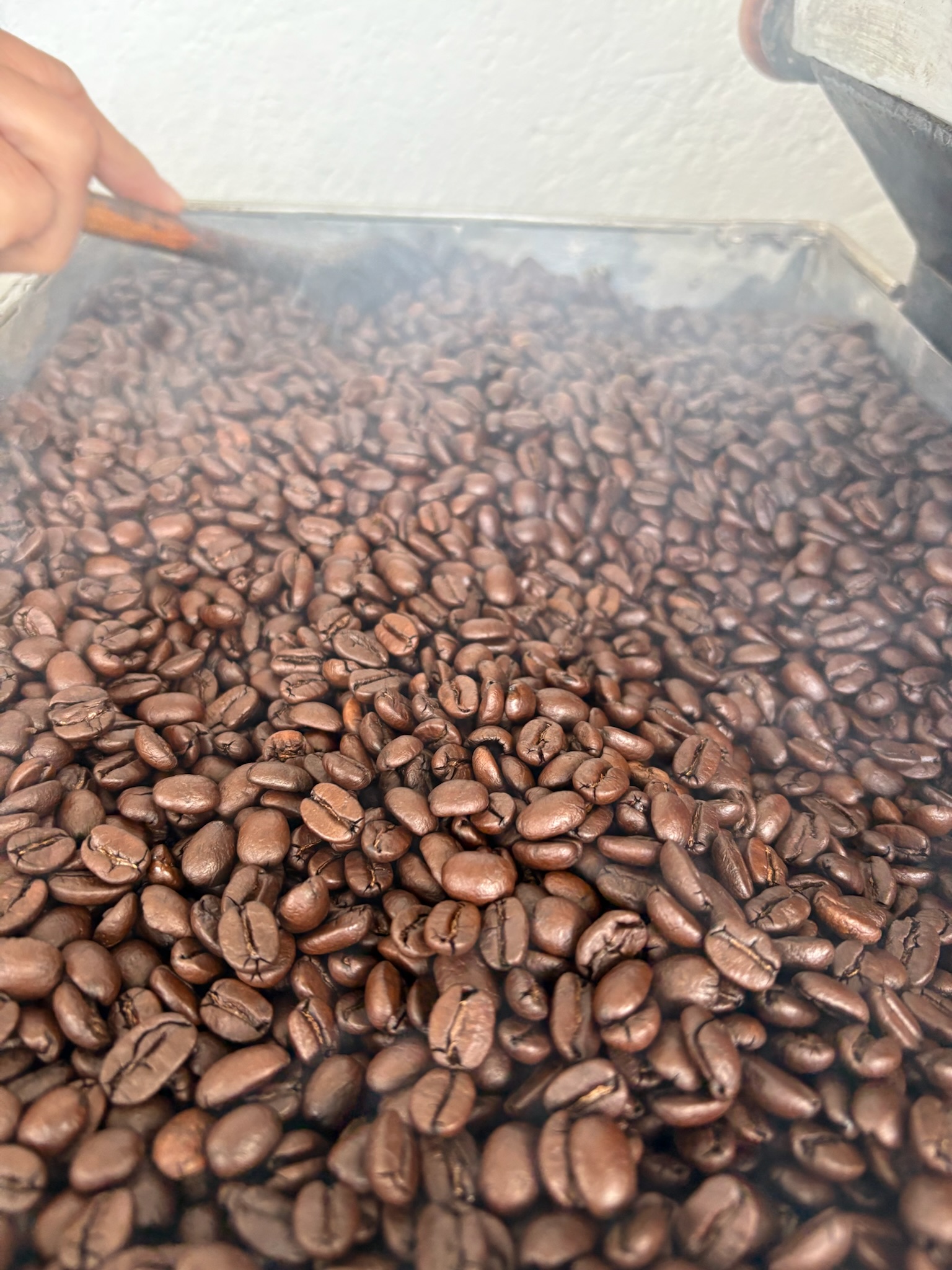 焙煎中のコーヒー豆